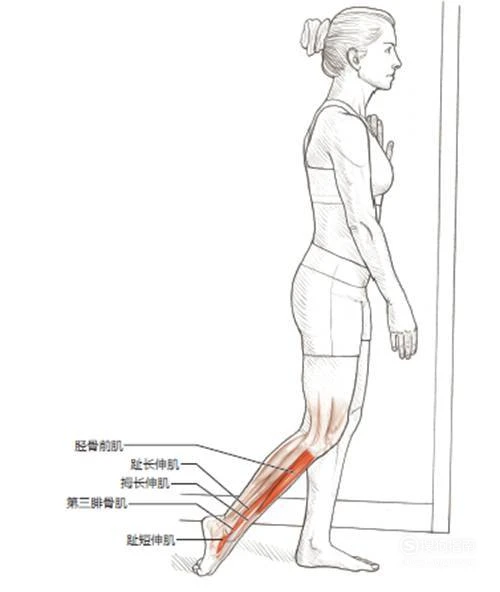 篮球队训练总结报告怎么写啊英语_0